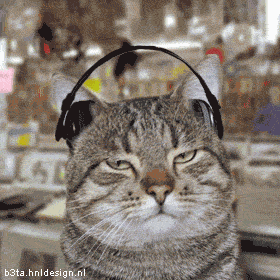 Hip-Hop music Cat
