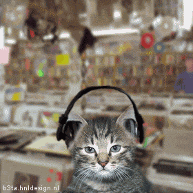 Pop music Cat